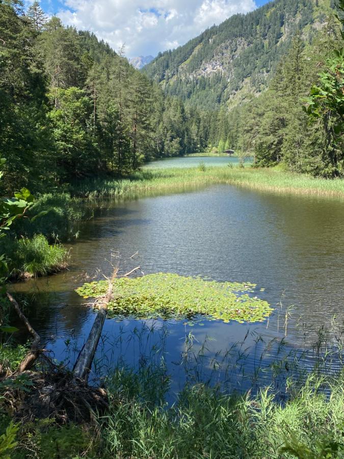 Apartament Haus Sonnenspitze - Fam. Nessler Biberwier Zewnętrze zdjęcie